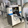 HLD-ZX-1 Lineer kapitone makinesi